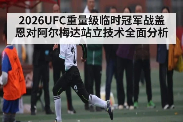 2026UFC重量级临时冠军战盖恩对阿尔梅达站立技术全面分析